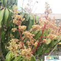 137imageIMG 19700105 151811.jpg