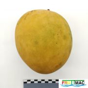 624imageIMG 20230811 110441.jpg