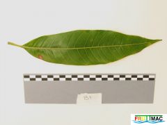 625imageIMG 0781.JPG