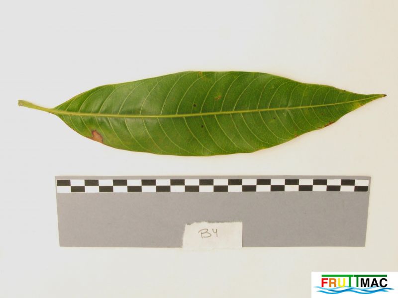 Archivo:625imageIMG 0781.JPG