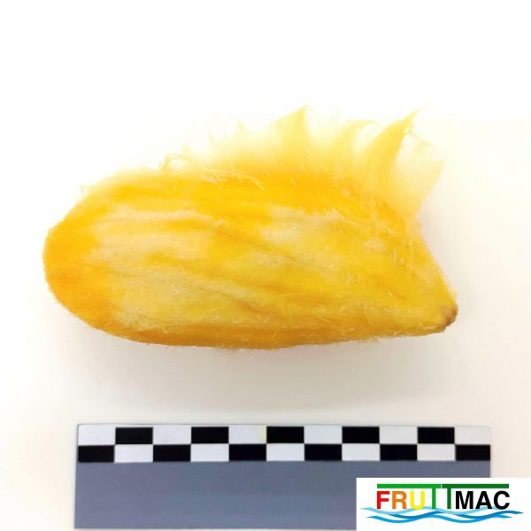 Archivo:628imageIMG 20230807 120230 (2).jpg