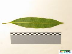 72imageIMG 0213 (2).JPG