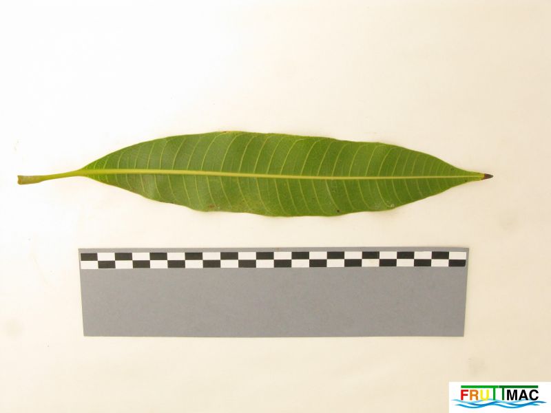 Archivo:72imageIMG 0213 (2).JPG