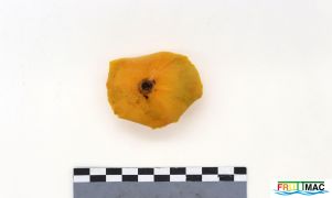 1074imageIMG 9087.jpg