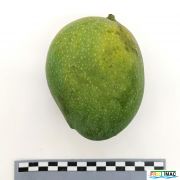 634imageIMG 20230718 153604 (2).jpg