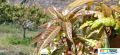 69imageIMG 20230321 151444.jpg