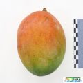 85imageIMG 3004.JPG