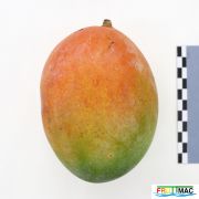 85imageIMG 3004.JPG