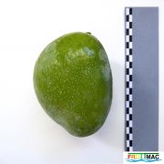 60imageP1250704 (2).JPG