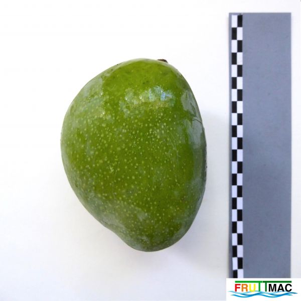 Archivo:60imageP1250704 (2).JPG