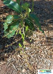 625imageIMG 20241230 123609.44.jpg