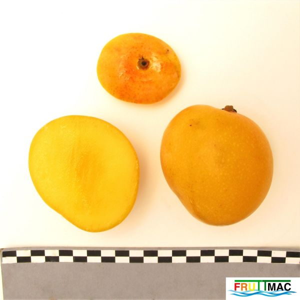 Archivo:72imageIMG 0678 (4).JPG