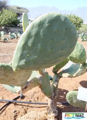 991imageIMG 20241218 125110.1.jpg