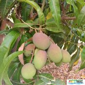 105imageIMG 20240716 100814 Burst02(1).jpg