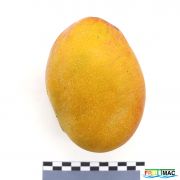 137imageIMG 4801.JPG