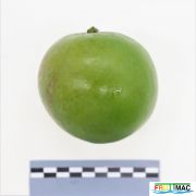 627imageIMG 1105 (2).JPG