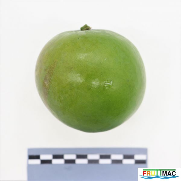 Archivo:627imageIMG 1105 (2).JPG