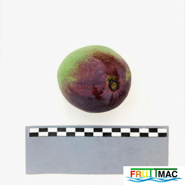 Archivo:105imageIMG 20230725 122641 (2)BD.jpg