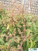 113imageIMG 19700105 153422.jpg