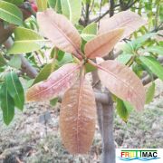 55imageIMG 19700105 154742.jpg