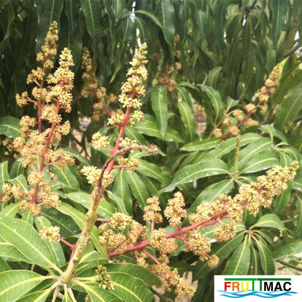 Archivo:72imageIMG 19700105 154300 (2).jpg