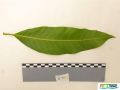 89imageIMG 0551.jpg