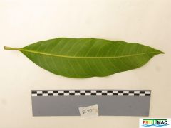 89imageIMG 0551.jpg