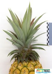935imageIMG 6366.JPG