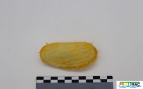 1045imageIMG 9005.jpg