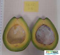 769imageSB.CE007008 FRUTO PARTIDOmin.jpg