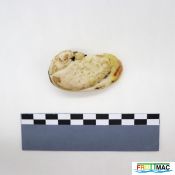 611imageIMG 2186.JPG