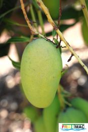 625imageIMG 0866.jpg