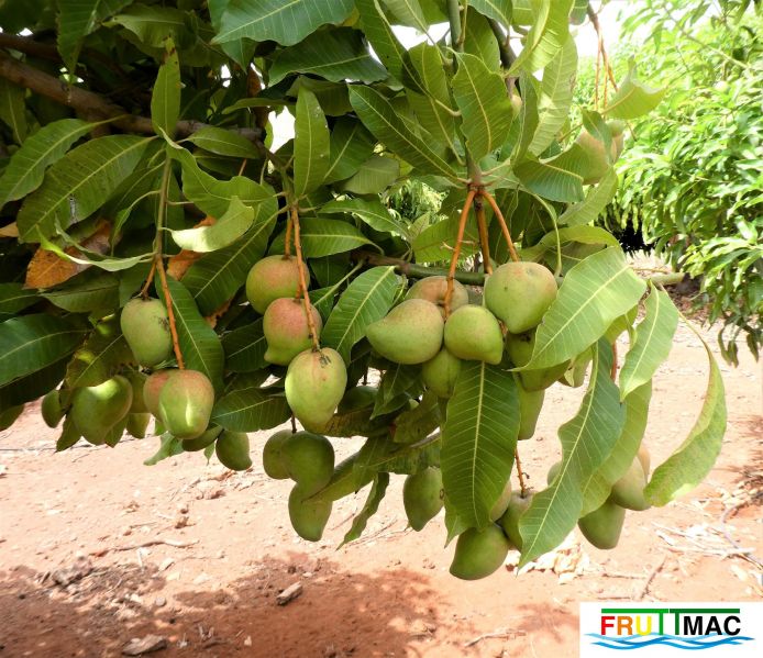 Archivo:68imageP1010062 (2).jpg