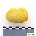 Miniatura de la versión del 10:45 28 may 2025