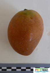 630imageP1150209.JPG