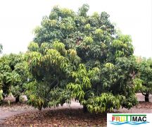 105imageOtts P1040567 (3).jpg