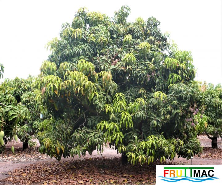 Archivo:105imageOtts P1040567 (3).jpg