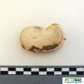113imageIMG 20220921 101150.jpg