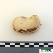 113imageIMG 20220921 101150.jpg