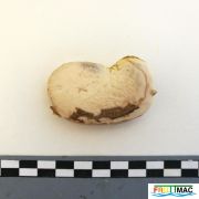 113imageIMG 20220921 101150.jpg
