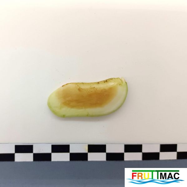 Archivo:619imageIMG 20230807 142029 (2).jpg