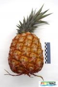 934imageIMG 6040.JPG