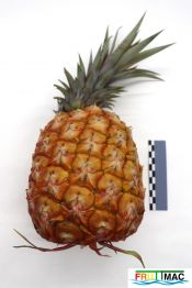 934imageIMG 6040.JPG