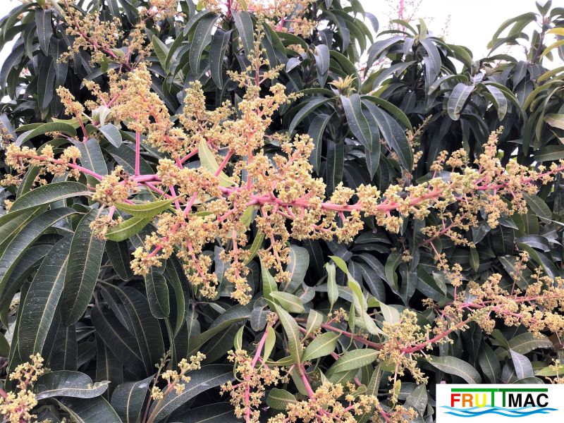 Archivo:624imageIMG 3970 (2).JPG