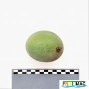 629imageIMG 20230725 121842 (2).jpg