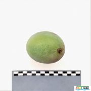 629imageIMG 20230725 121842 (2).jpg