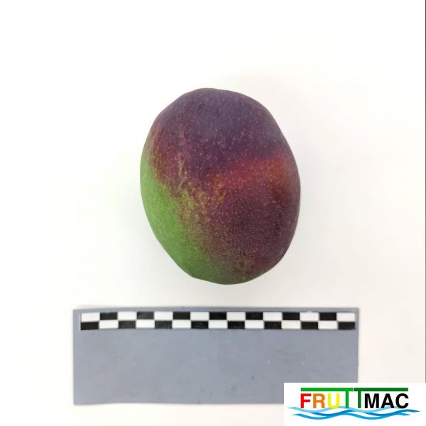 Archivo:105imageIMG 20230725 122527 (2)BD.jpg