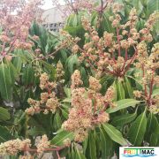 137imageIMG 19700105 151807.jpg