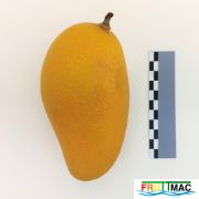 625imageIMG 20230807 114459 (2).jpg