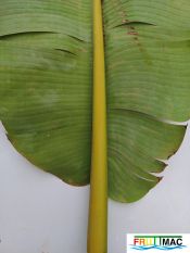 44imageIMG 20230125 101912 (2).jpg